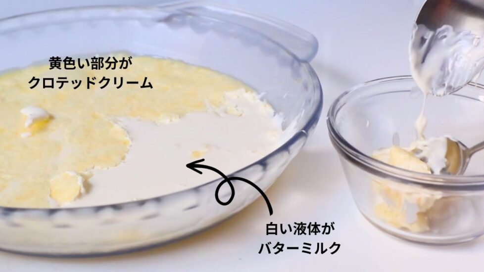 黄色い部分がクロテッドクリーム、白い部分がバターミルク