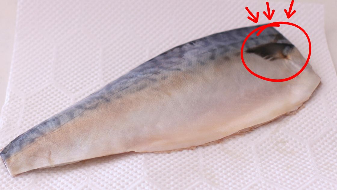 鯖のヒレを忘れずに取る注意点
