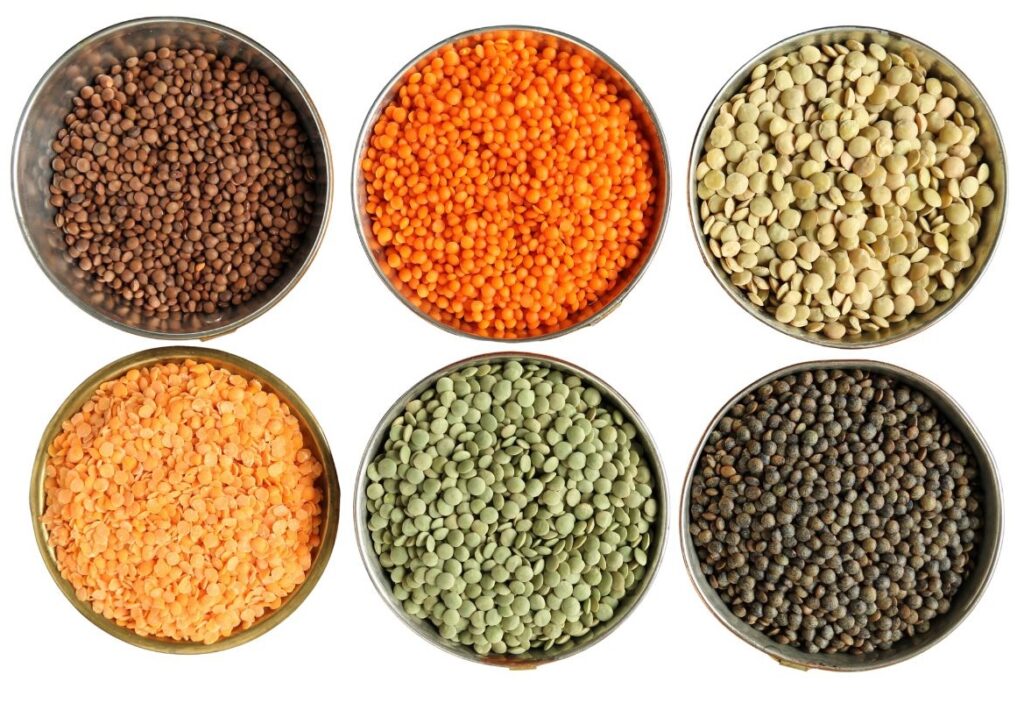 レンズ豆の種類