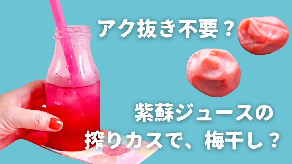 紫蘇ジュースの残りカスで梅干しを赤くする方法